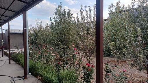 Ташкентская область, Назарбек