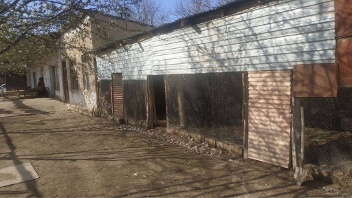 Ташкентская область, Назарбек