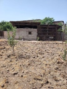 Ташкентская область, Ташкент, Бектемирский район