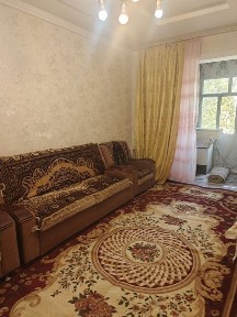 Семя, Парни, Студенты, Девушки, Семя и Гражданский брак