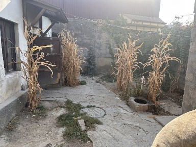 Ташкентская область, Ташкент, Мирабадский район