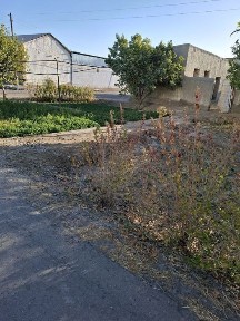 Uchastka sotiladi.narxi kelishiladi.pul zarur