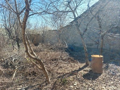 Ташкентская область, Кибрай