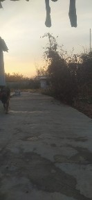 Ташкентская область, Коксарай