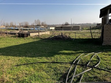 Ташкентская область, Нурафшан (Тойтепа)