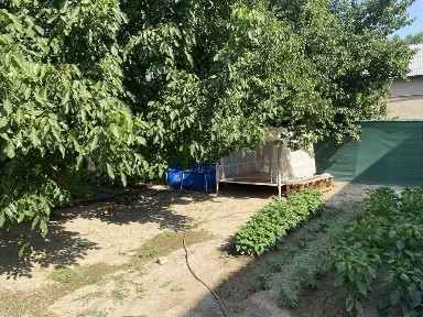 Ташкентская область, Кибрай