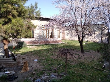 Ташкентская область, Ташкент, Мирзо-Улугбекский район