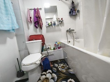 Ташкентская область, Ташкент, Мирзо-Улугбекский район