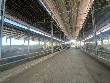 Ферма сотилади, 2.5 гектар