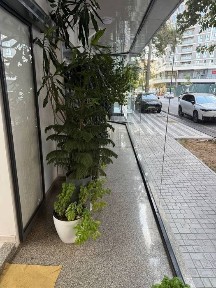 Ташкентская область, Ташкент, Мирзо-Улугбекский район