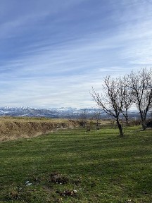 Ташкентская область, Ташкент, Шайхантахурский район