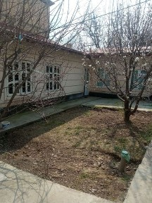 Ташкентская область, Кибрай