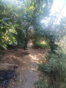 Ташкентская область, Ташкент, Мирзо-Улугбекский район