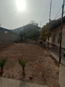 Ташкентская область, Ташкент, Мирзо-Улугбекский район