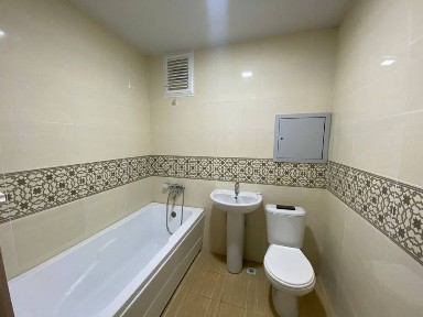 Ташкентская область, Алмалык