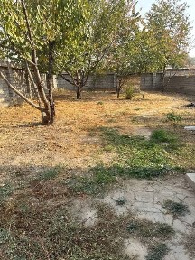 Здам аренда свая Янги Узбекистан двор 5 сотое