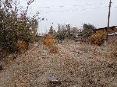 Уй сотилади 20000$