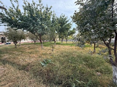 Ташкентская область, Назарбек