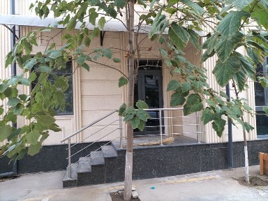 Ташкентская область, Ташкент, Яккасарайский район