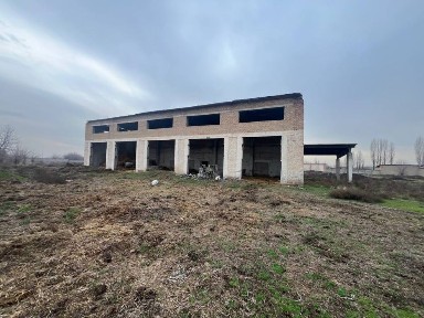 Ташкентская область, Нурафшан (Тойтепа)