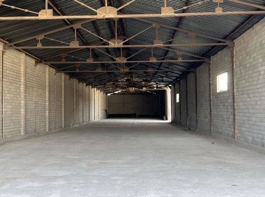 Ташкентская область, Нурафшан (Тойтепа)