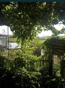 Ташкентская область, Ташкент, Мирабадский район