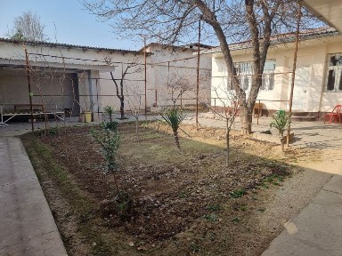 Ташкентская область, Ташкент, Мирзо-Улугбекский район