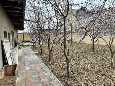 Ташкентская область, Коксарай