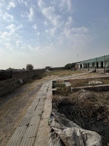 Ташкентская область, Нурафшан (Тойтепа)