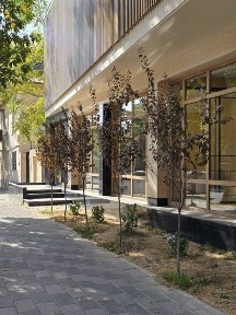 Ташкентская область, Ташкент, Яккасарайский район