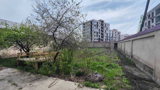 Ташкентская область, Ташкент, Мирзо-Улугбекский район