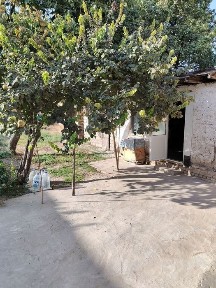 Ташкентская область, Коксарай