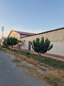 Термез туман кахрамон мфй И Каримов куча