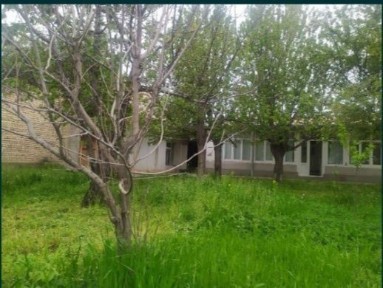 Ташкентская область, Назарбек