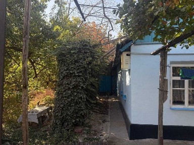 Ташкентская область, Ташкент, Мирзо-Улугбекский район