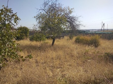 Ташкентская область, Мирабад