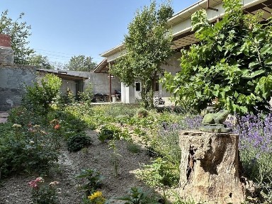 Сырдарьинская область, Янгиер