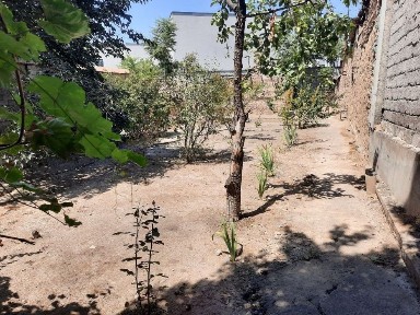 Ташкентская область, Ташкент, Мирабадский район