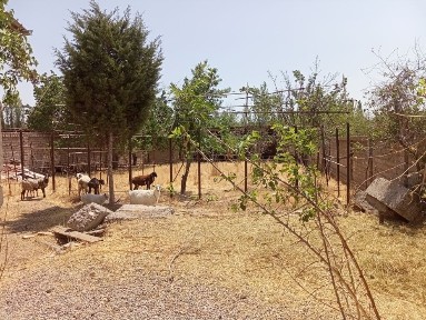 Srojna tekstilda nazarbek srojna ozi 10 sotik dakum 6 sotik