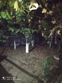 Ташкентская область, Чирчик