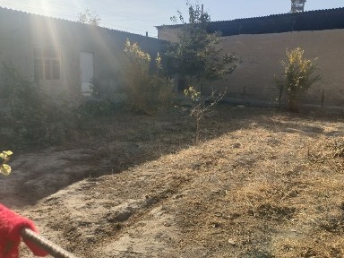 Ташкентская область, Нурафшан (Тойтепа)