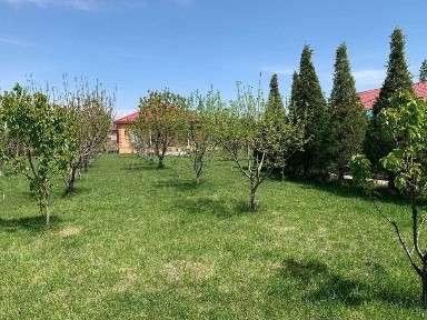 Отличная красивая дача 40 соток кристально чистый воздух Бустанлык р-н