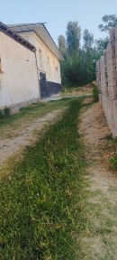 Ташкентская область, Нурафшан (Тойтепа)