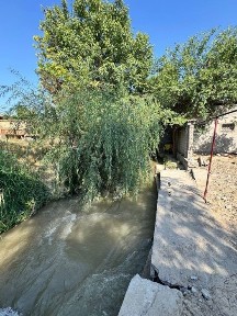 Ташкентская область, Кибрай