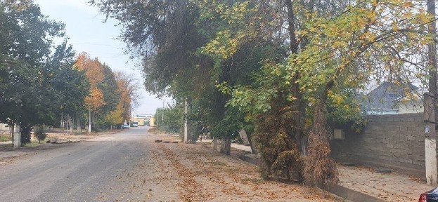 Сырдарьинская область, Бахт