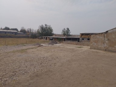 Ташкентская область, Нурафшан (Тойтепа)