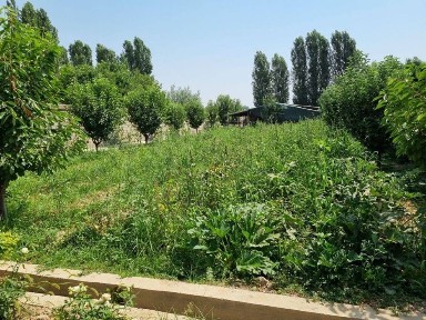 Сдается Янгиюле (халкабад) в аренду 2ух комнатное жилое помещение