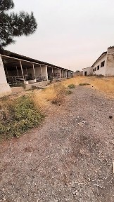 Ташкентская область, Нурафшан (Тойтепа)