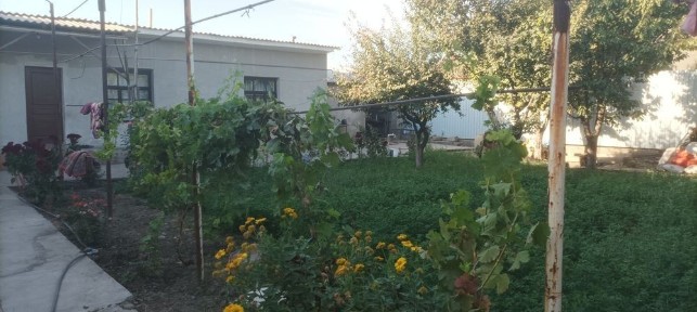 Ташкентская область, Ташкент, Бектемирский район