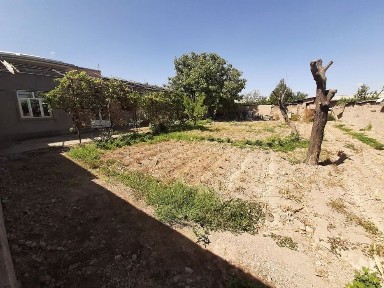 Ташкентская область, Зангиата